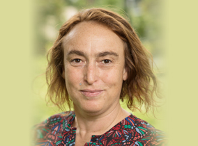 Kirsty Kitto